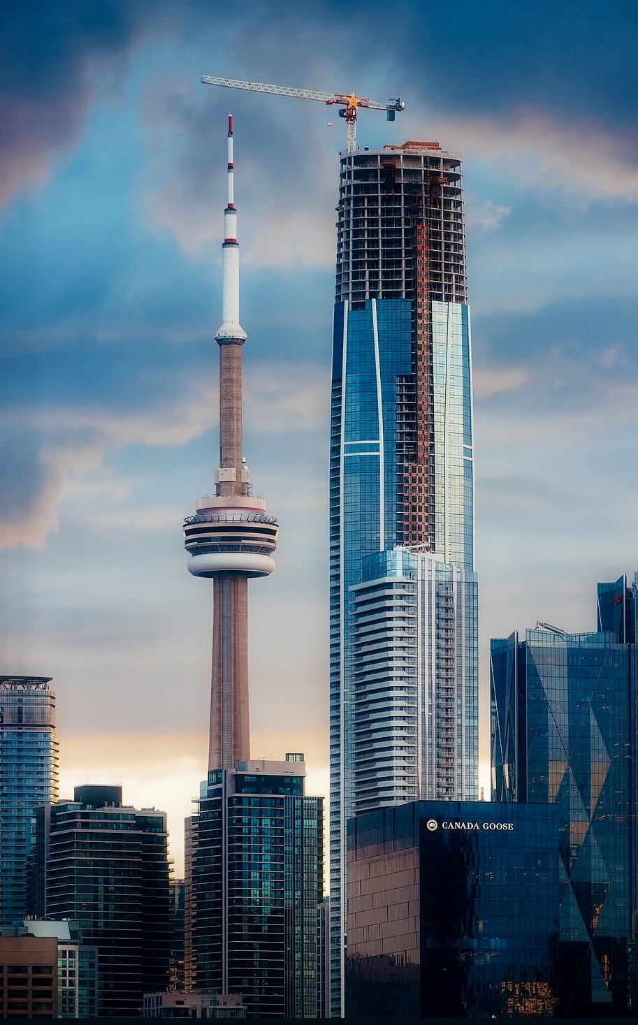 🏙️ Moving in Downtown Toronto: What You Need to Know Before Your Move